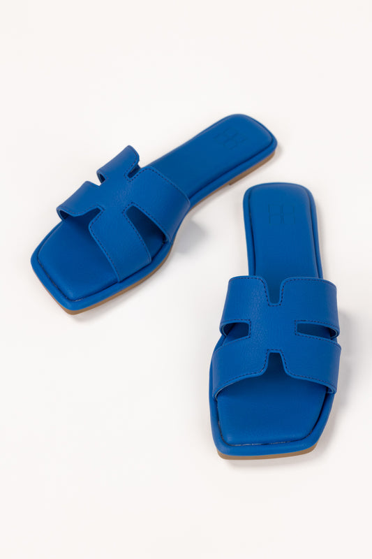 Blue Slipper IFS-SLP25-021