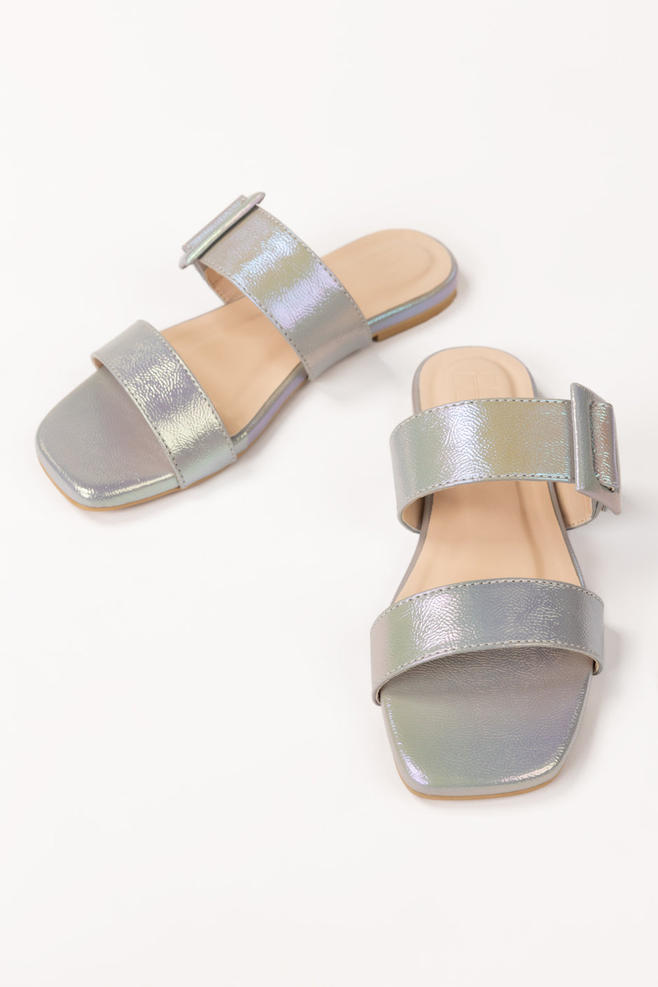Grey Slipper