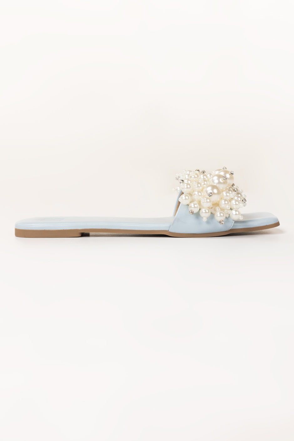 Blue Slipper IFS-SLP26-011