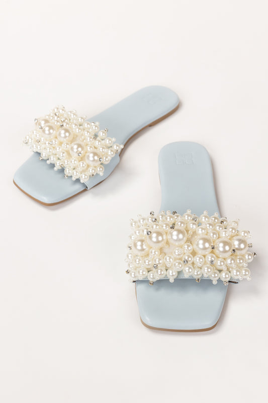 Blue Slipper IFS-SLP26-011