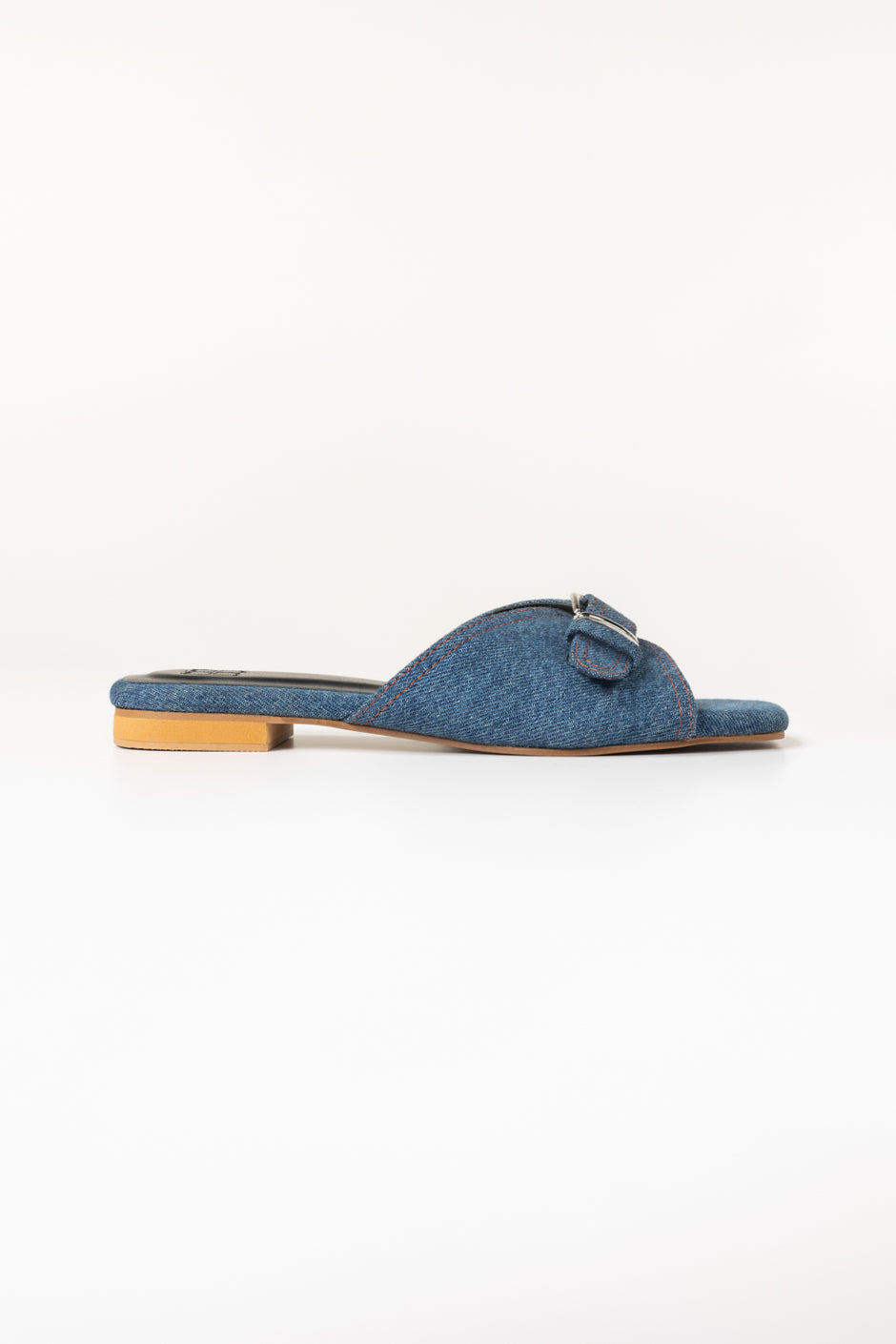 Blue Slipper