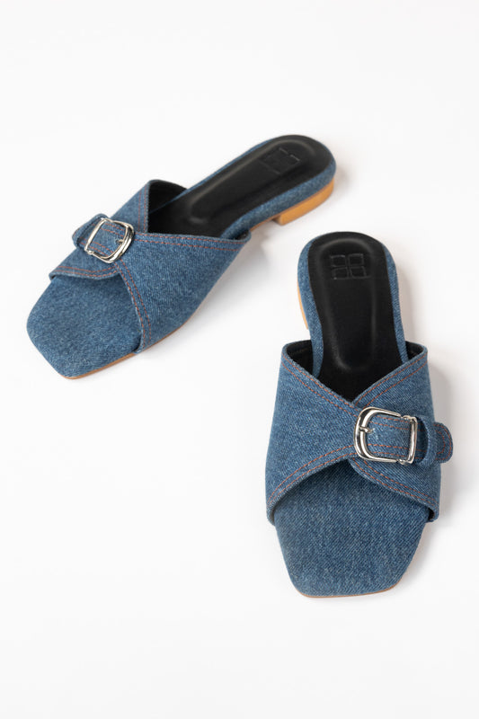Blue Slipper IFS-SLP26-016