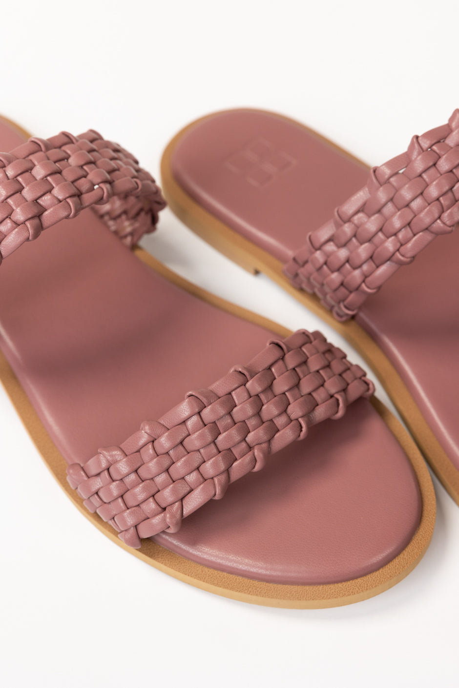 Purple Slipper