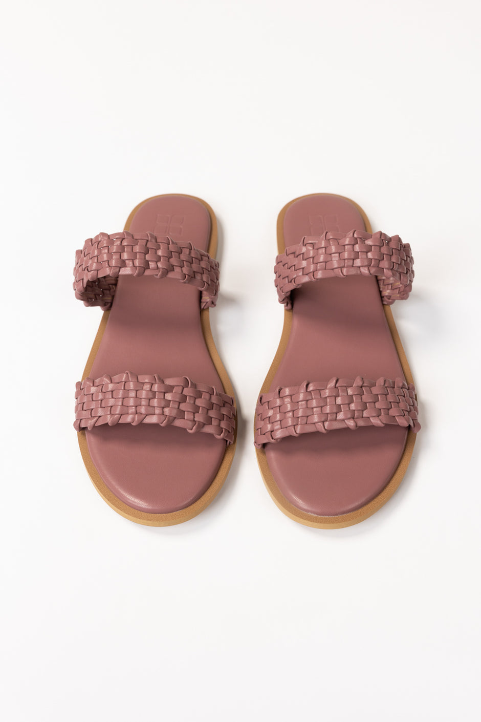 Purple Slipper