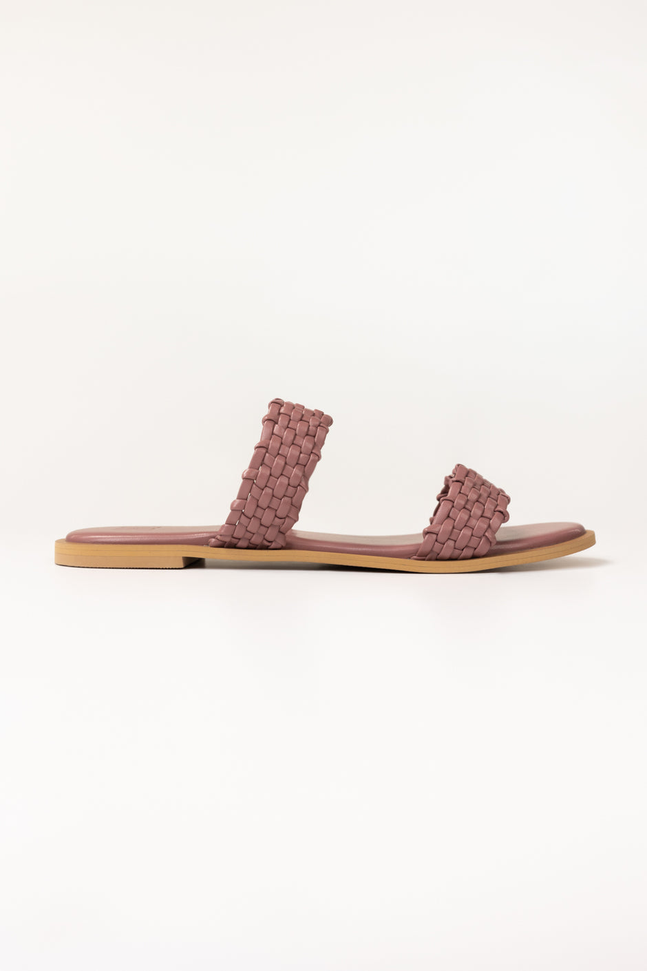 Purple Slipper