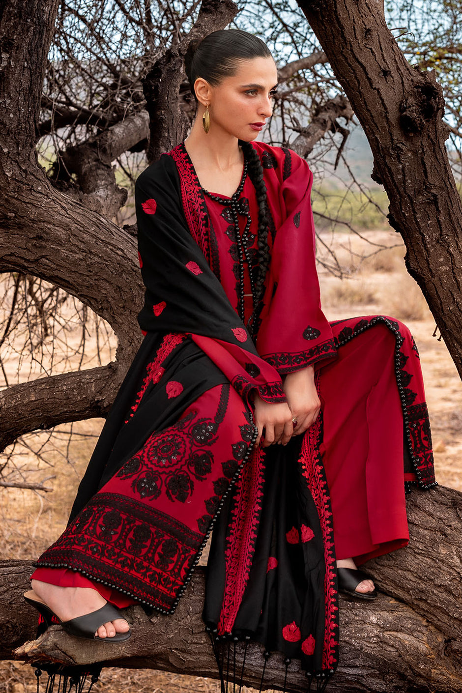 3 Piece Unstitched Embroidered Pashmina Suit with Embroidered Shawl and Chalk Border