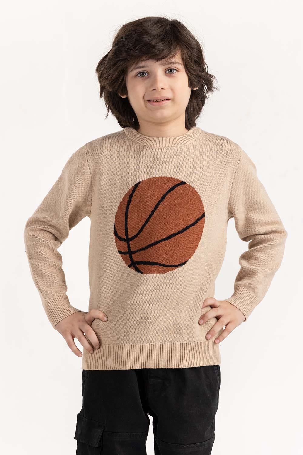 Junior Boy Beige Knit Sweater 224-311-045