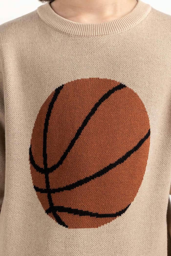 Junior Boy Beige Knit Sweater 224-311-045