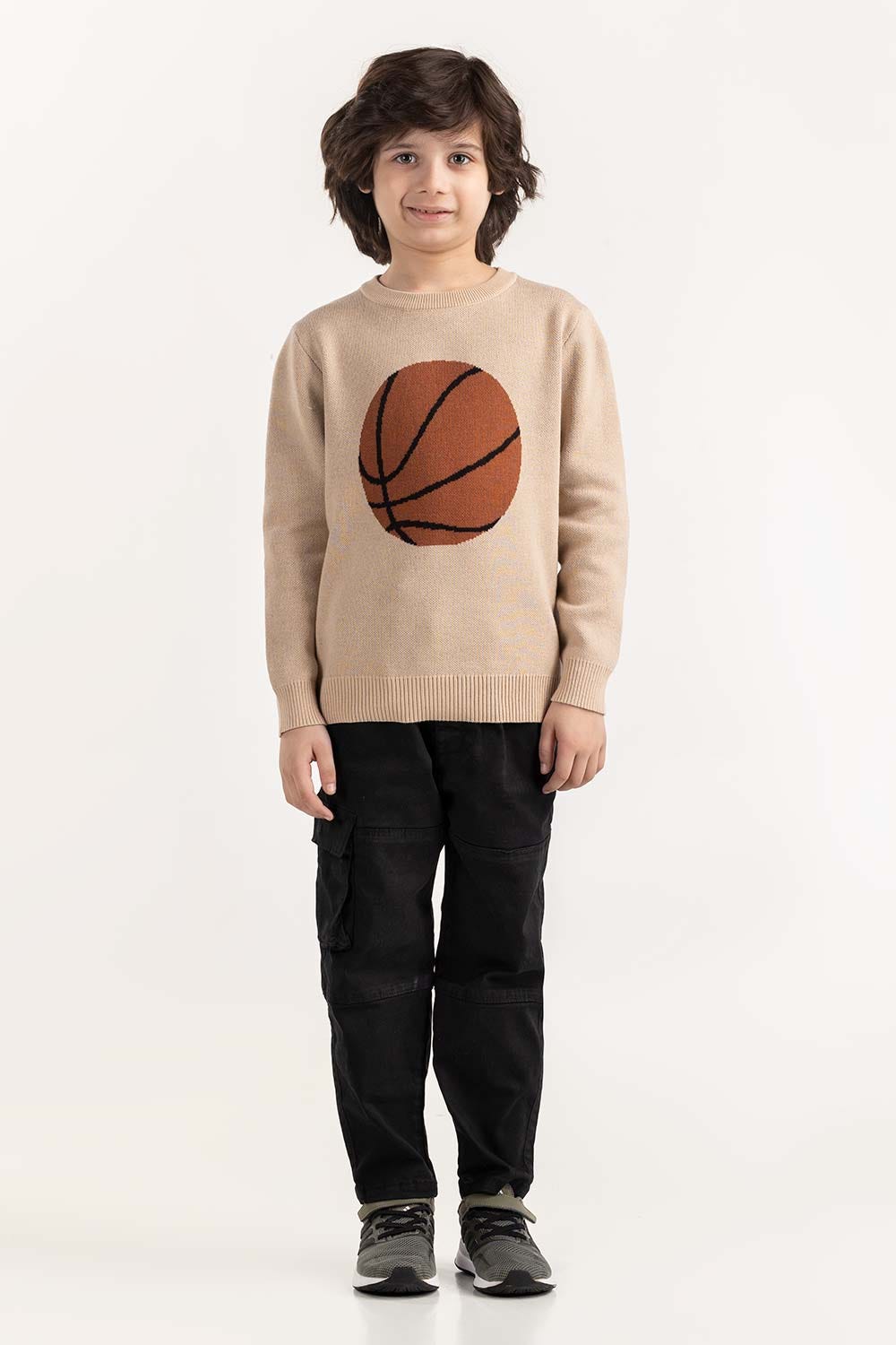 Junior Boy Beige Knit Sweater 224-311-045
