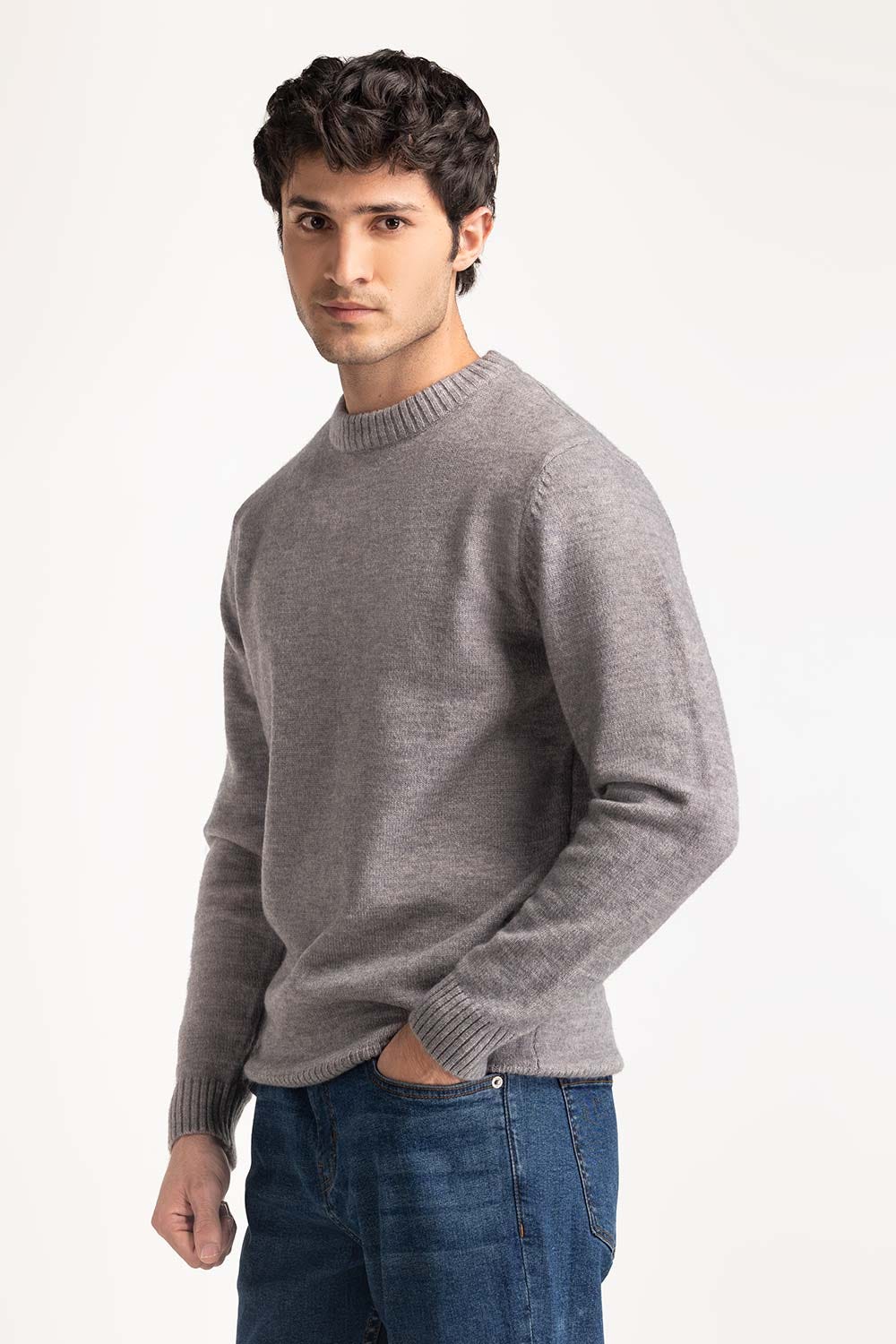 Crew Neck Sweater MN-SWT-WS24-006 B