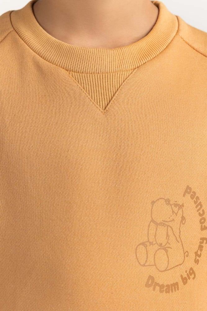 Junior Boy Clay Printed Sweatshirt 224-312-075