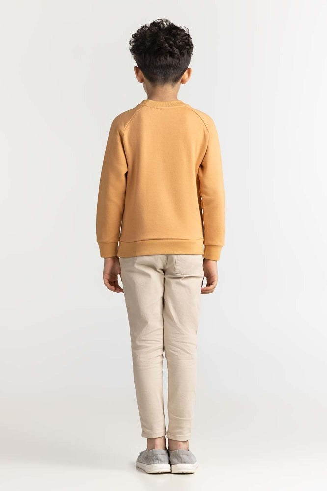 Junior Boy Clay Printed Sweatshirt 224-312-075