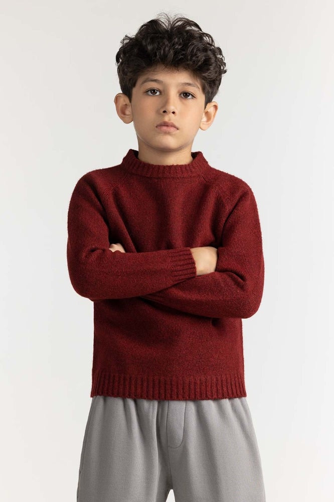 Junior Boy Maroon Basic Sweater JB-SWT-WS23-019