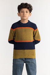 Junior Boy Multi Basic Sweater JB-SWT-WS23-026