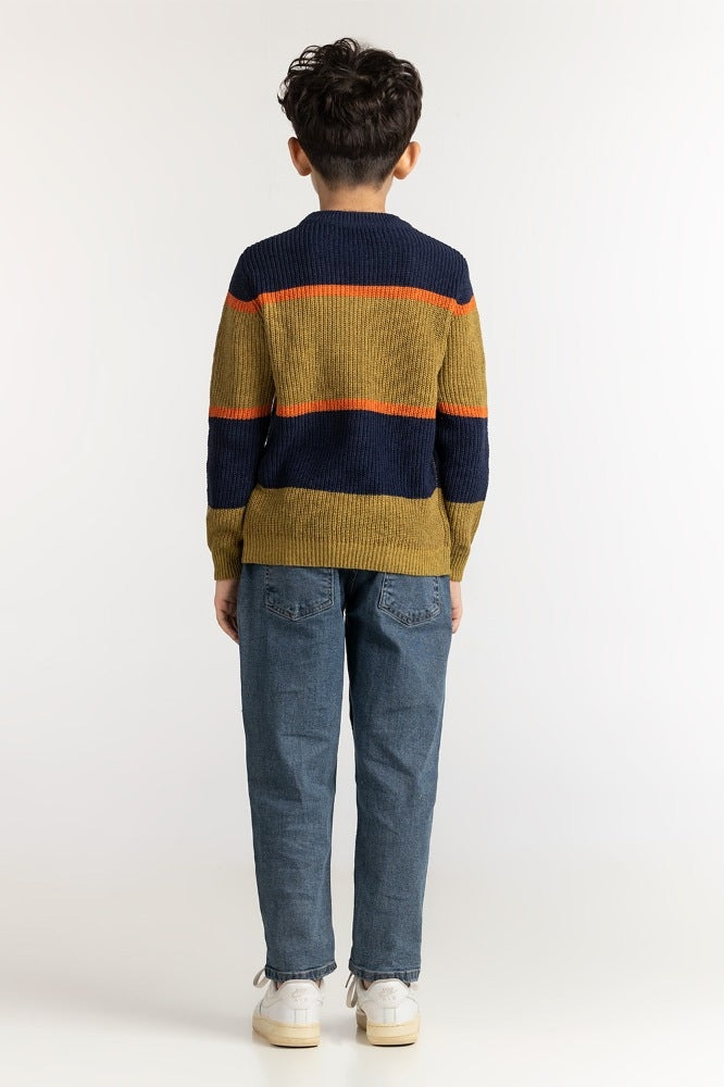 Junior Boy Multi Basic Sweater JB-SWT-WS23-026
