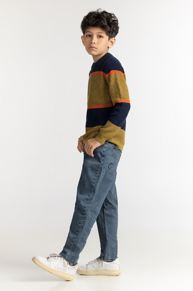 Junior Boy Multi Basic Sweater JB-SWT-WS23-026