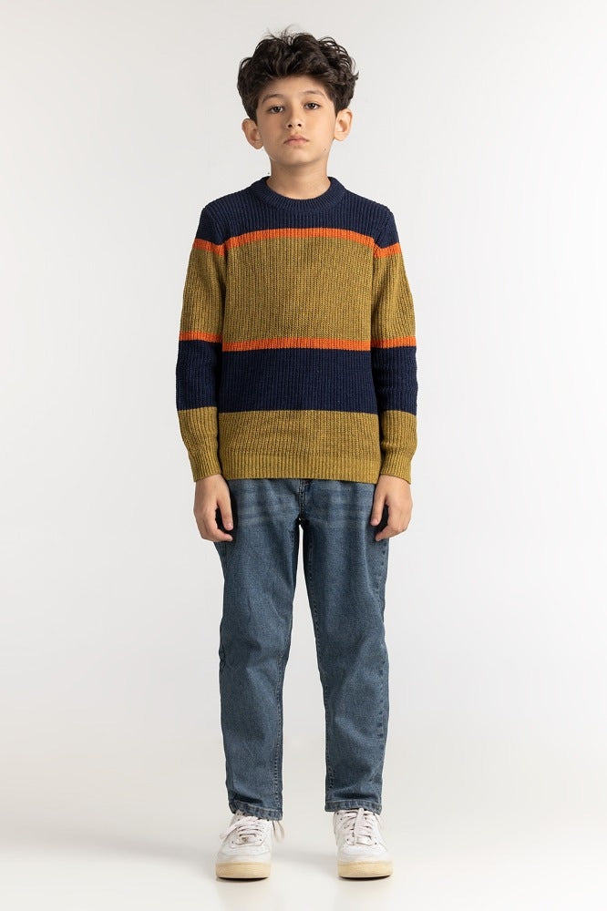 Junior Boy Multi Basic Sweater JB-SWT-WS23-026