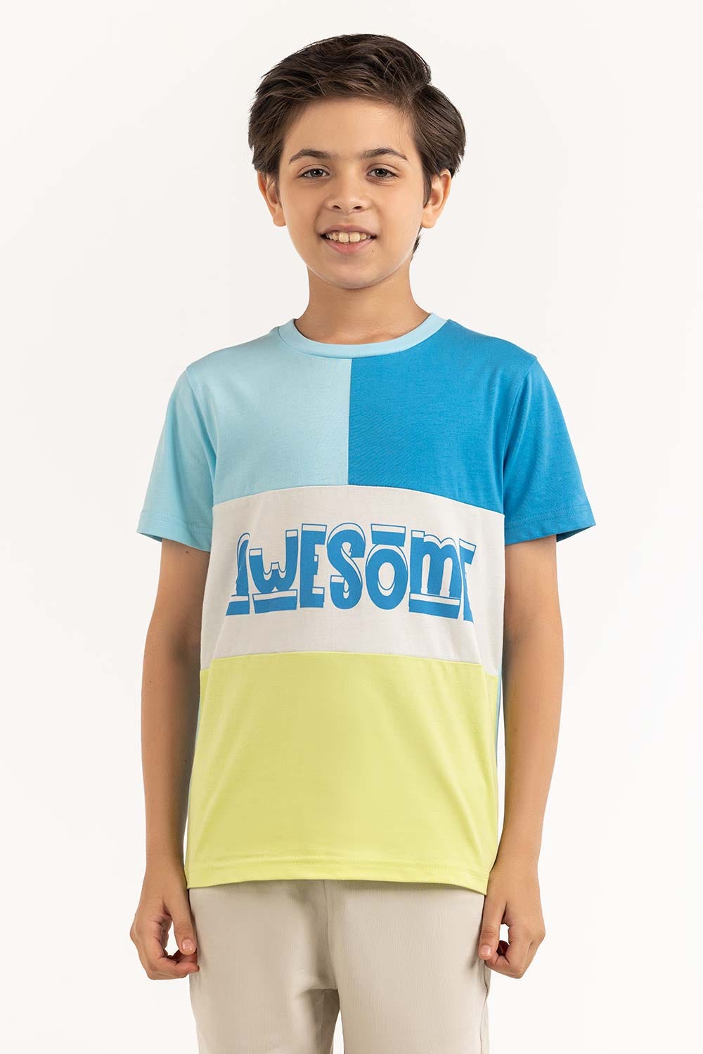 Junior Boy Multi T-Shirt 231-313-036