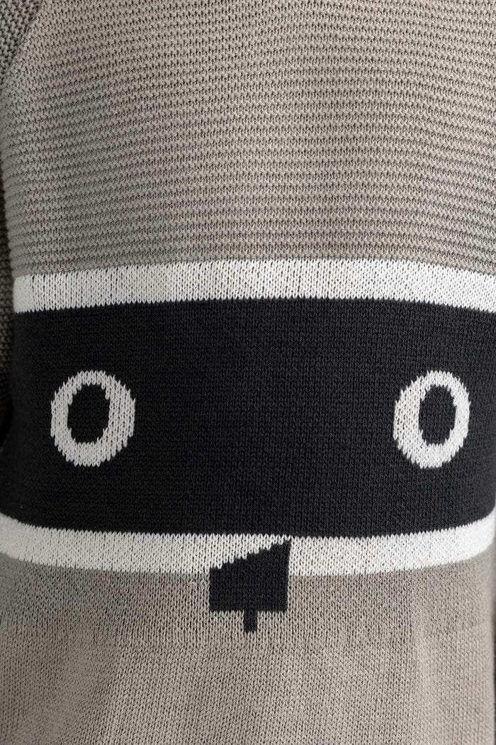 Toddler Boy Light Grey Knit Sweater 224-511-039