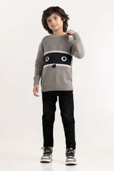 Toddler Boy Light Grey Knit Sweater 224-511-039
