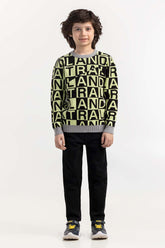 Junior Boy Multi Knit Sweater 224-311-036