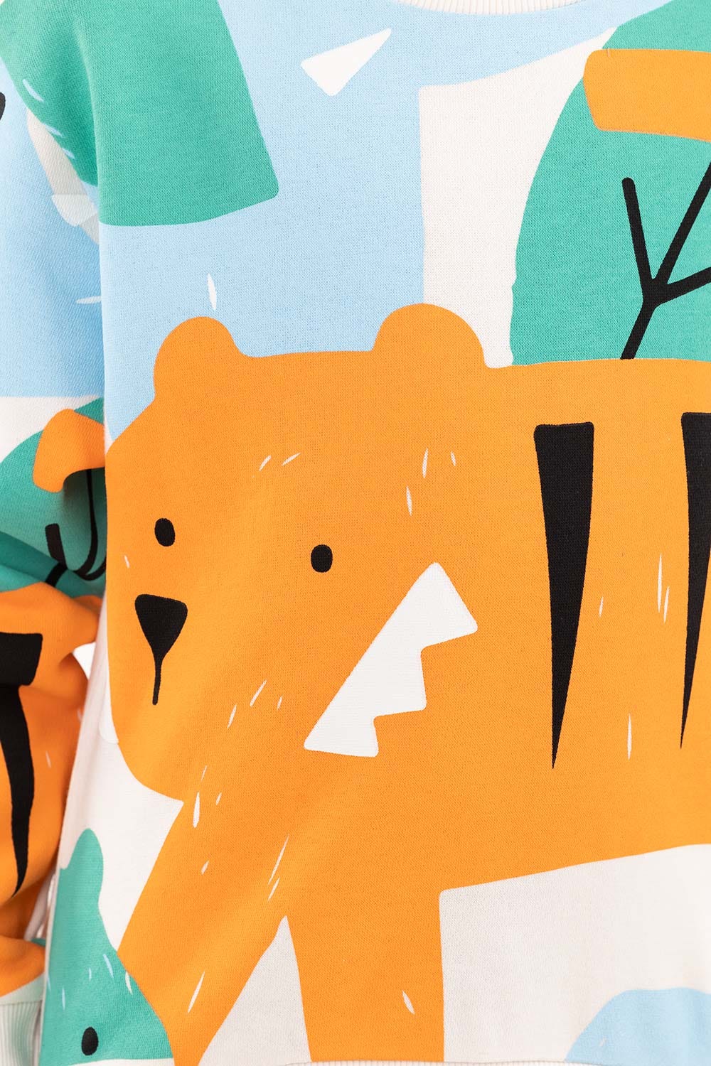 Toddler Boy Multi Sweatshirt 224-512-002