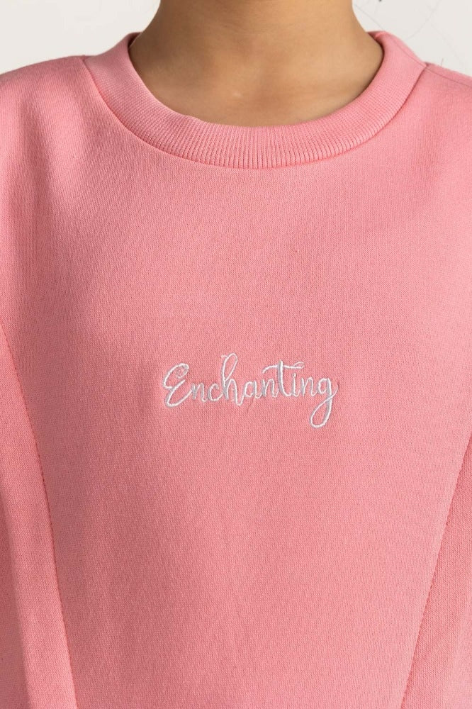 Pink Embroidered Sweatshirt 224-412-005