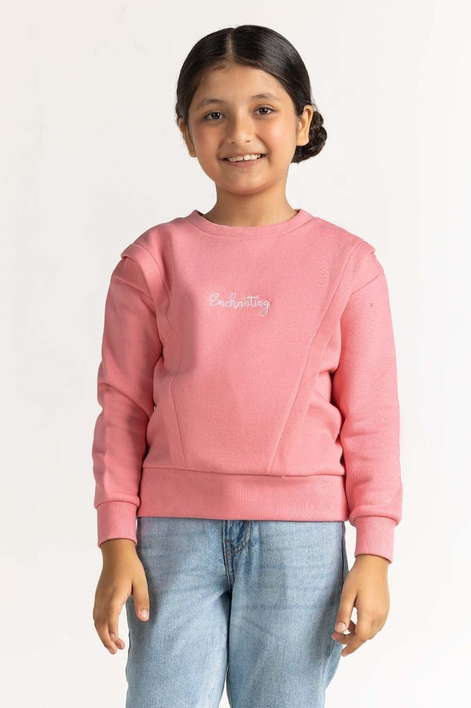 Pink Embroidered Sweatshirt 224-412-005