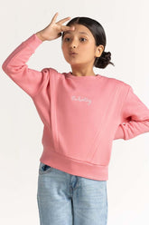 Pink Embroidered Sweatshirt 224-412-005