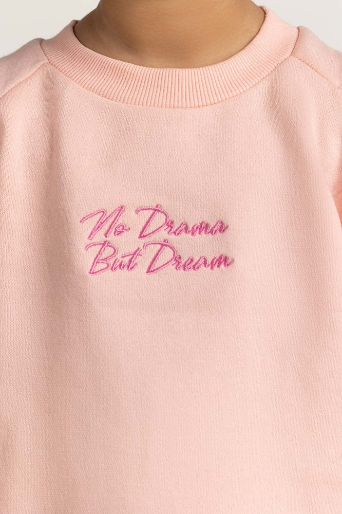 Pink Embroidered Sweatshirt 224-612-008