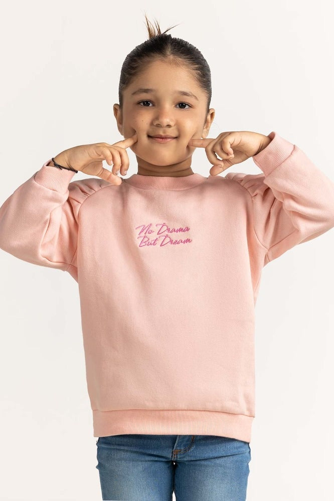 Pink Embroidered Sweatshirt 224-612-008