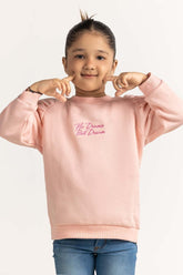 Pink Embroidered Sweatshirt 224-612-008