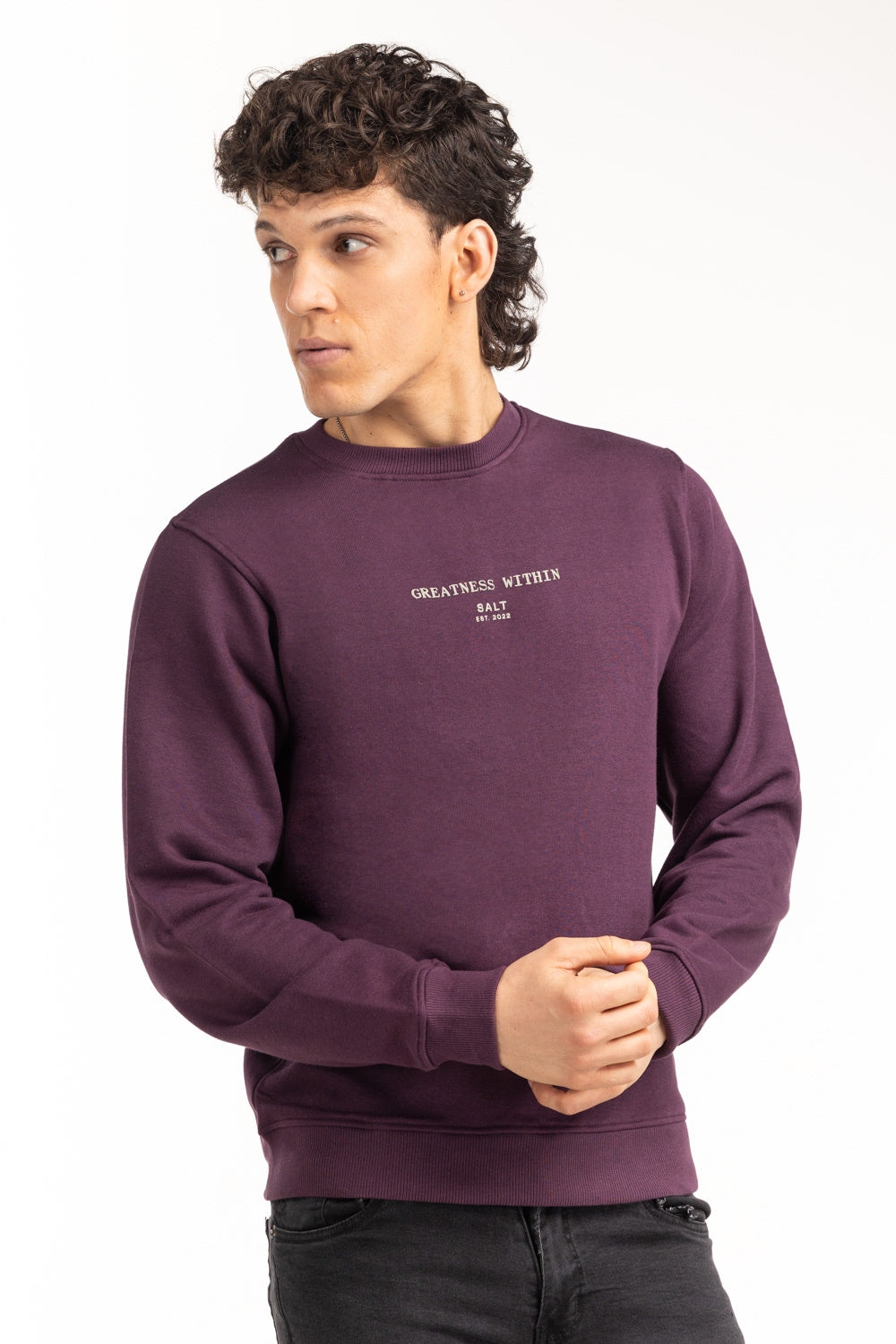 Regular Fit Sweatshirt MN-SWS-WS24-138
