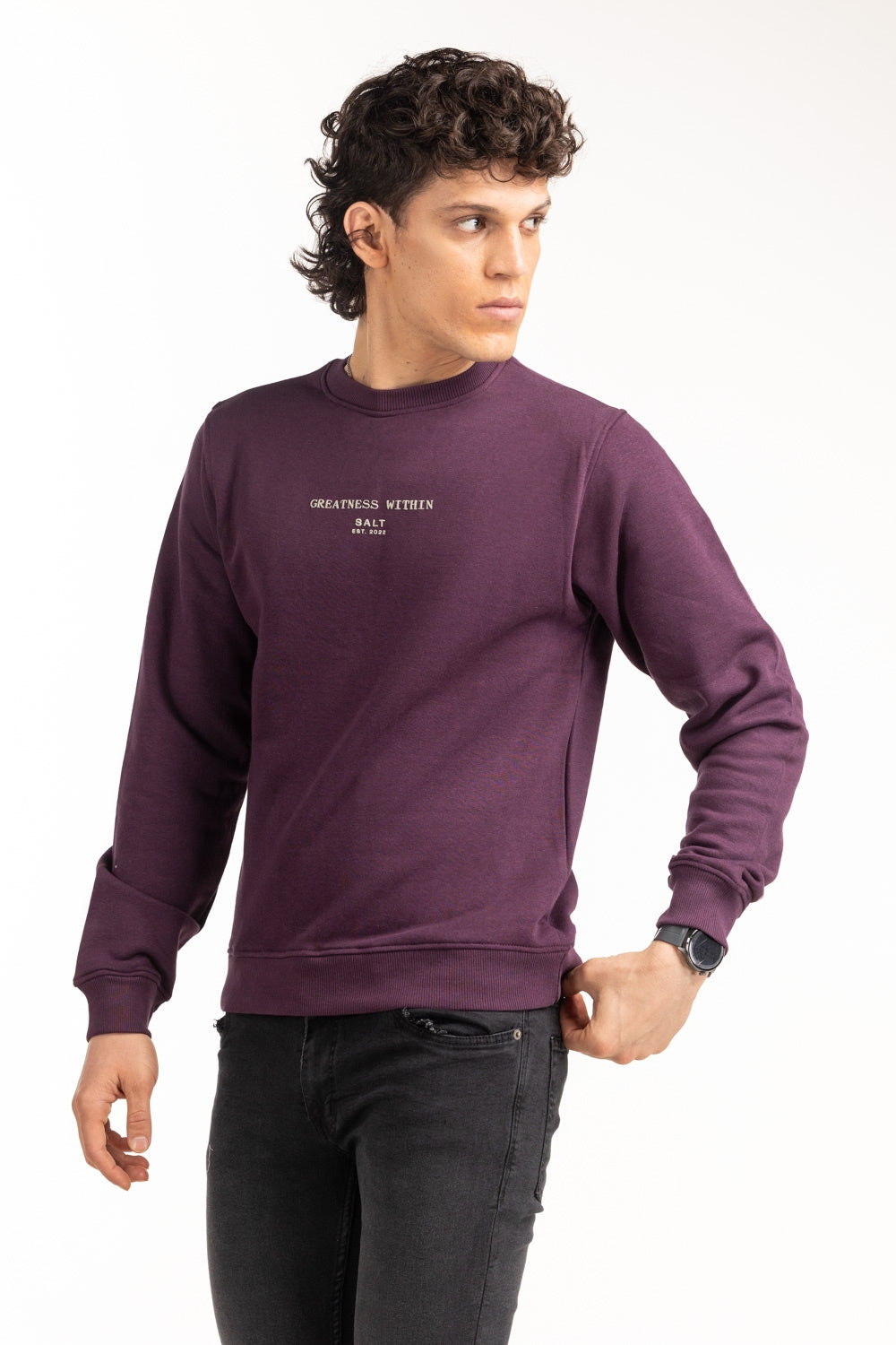 Regular Fit Sweatshirt MN-SWS-WS24-138