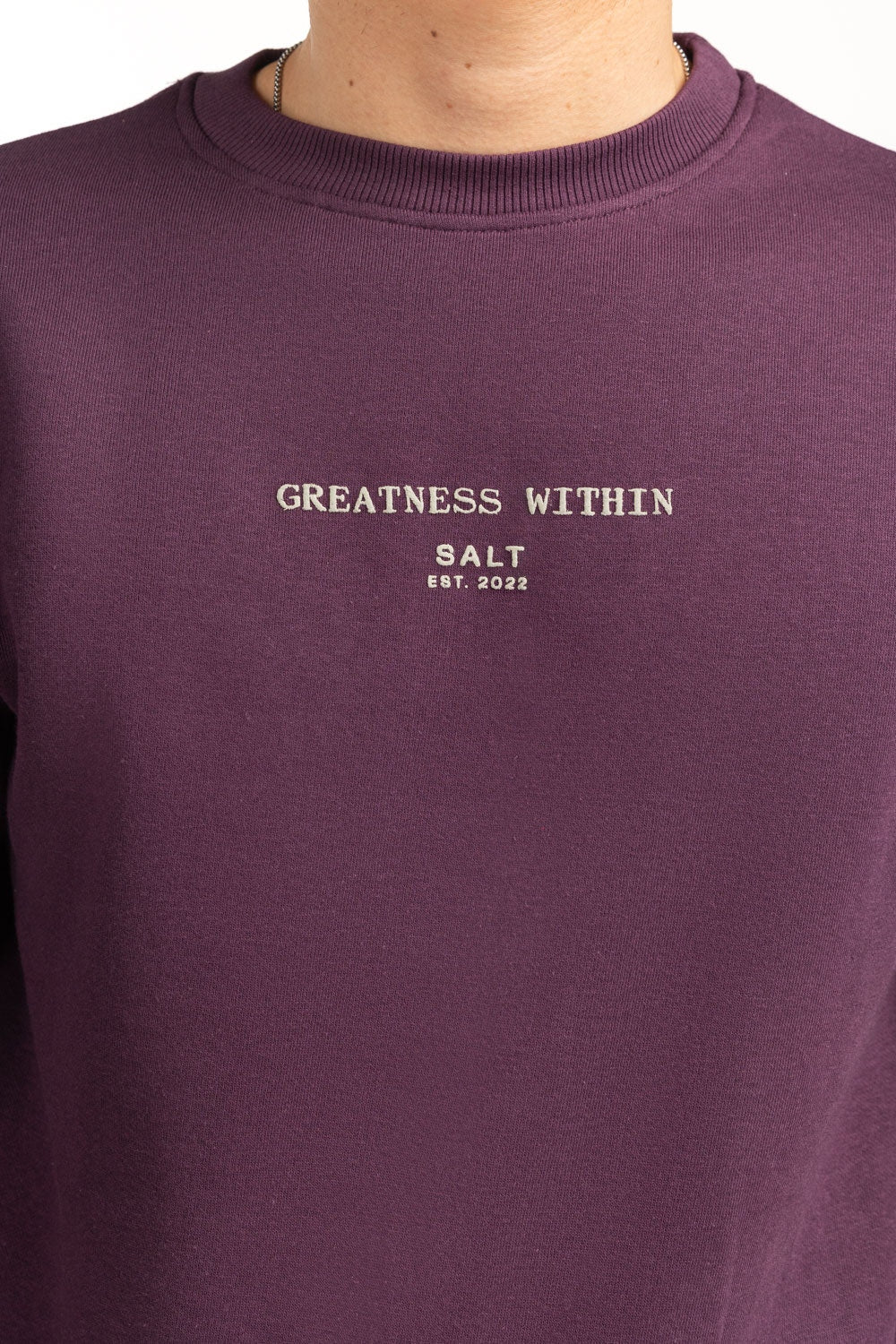 Regular Fit Sweatshirt MN-SWS-WS24-138