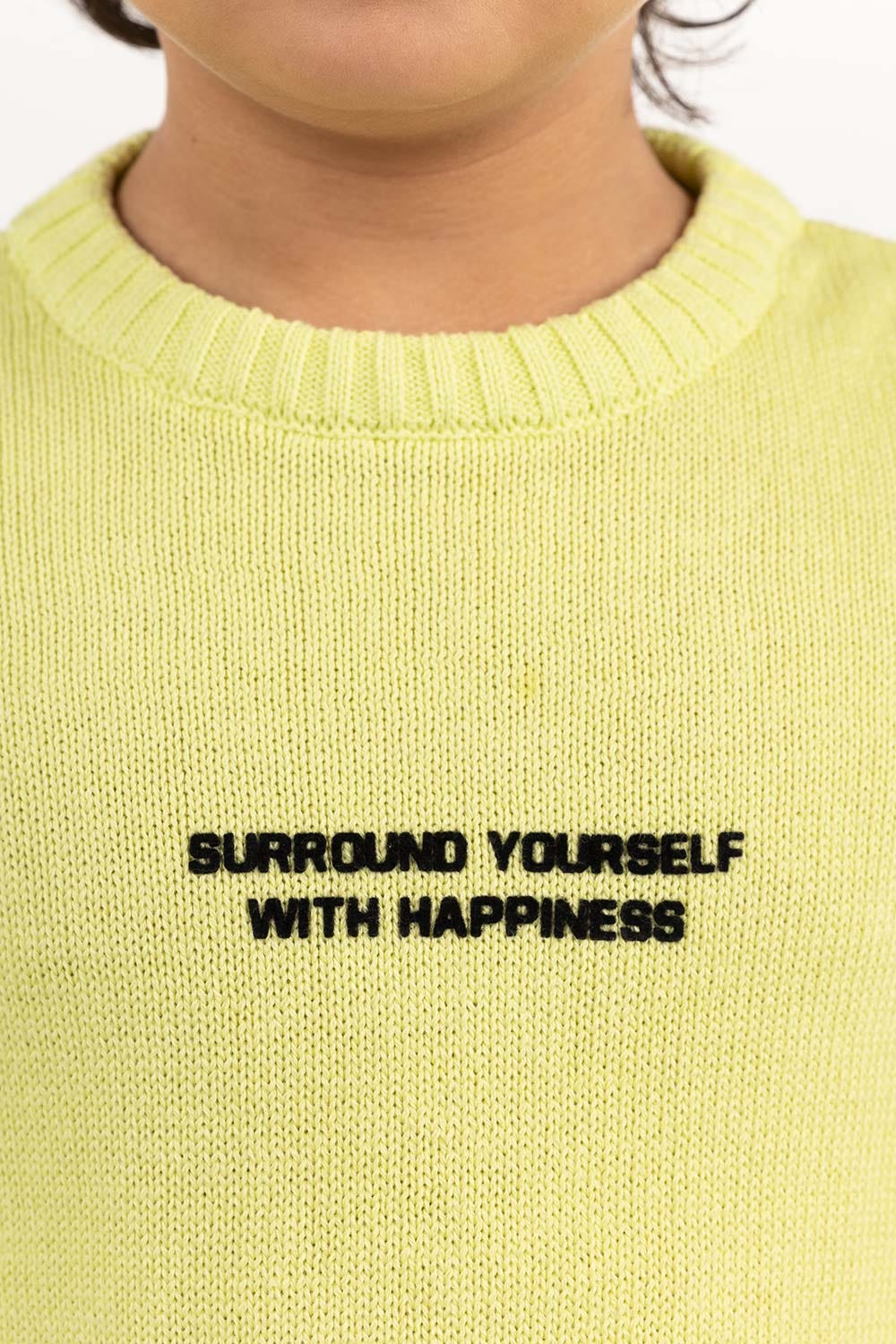 Toddler Boy Sunny Lime Sweater 224-511-036