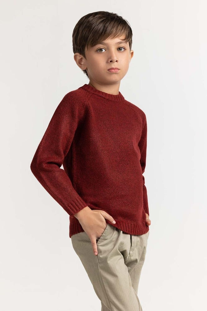 Toddler Boy Maroon Basic Sweater TB-SWT-WS23-019