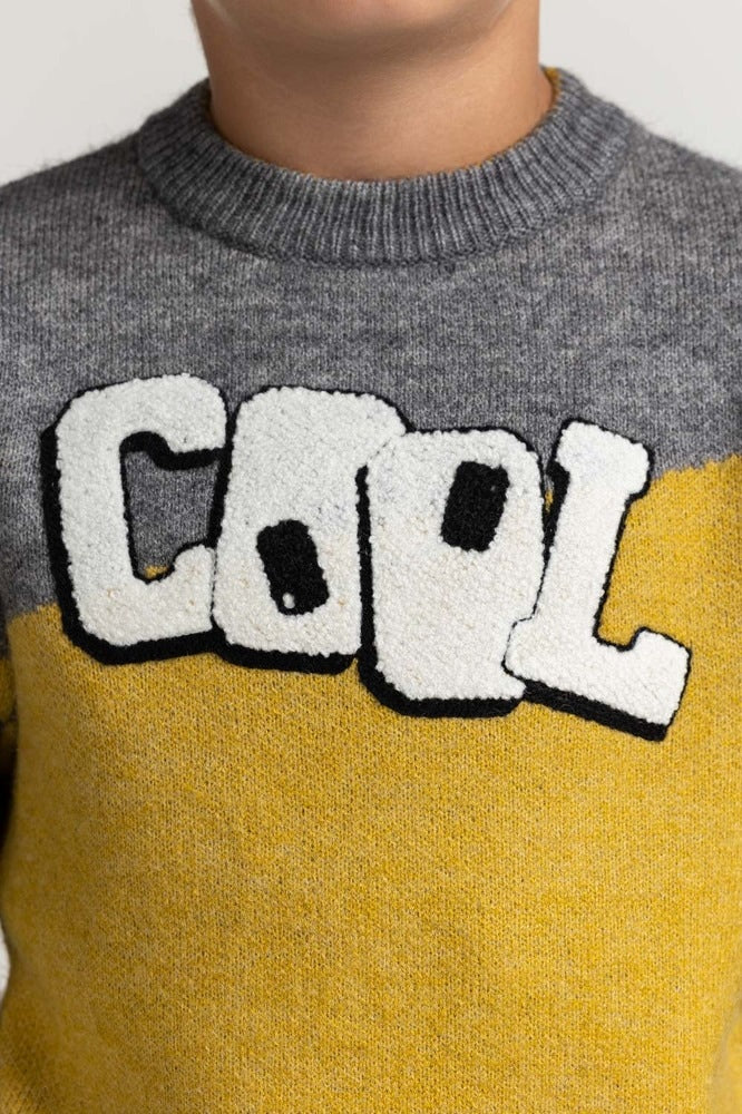 Toddler Boy Multi Basic Sweater TB-SWT-WS23-007