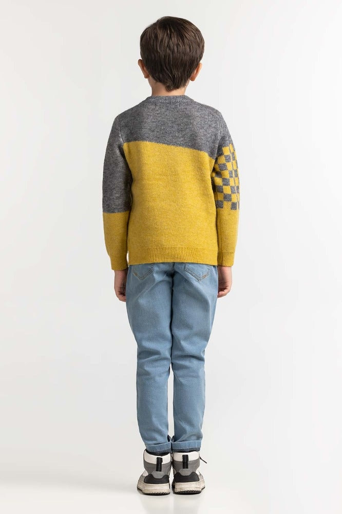 Toddler Boy Multi Basic Sweater TB-SWT-WS23-007