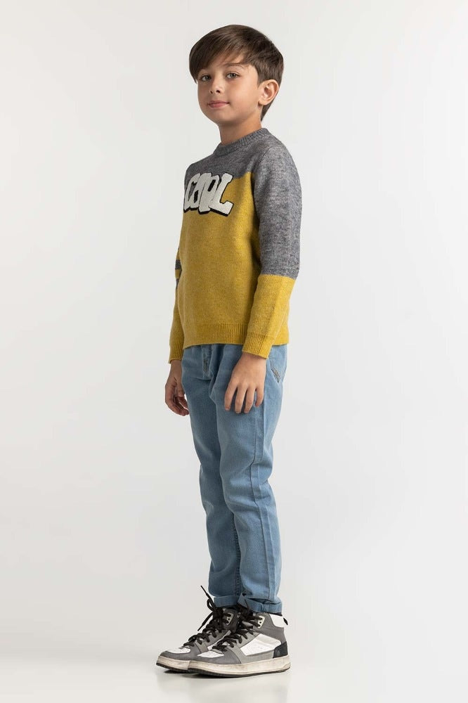 Toddler Boy Multi Basic Sweater TB-SWT-WS23-007