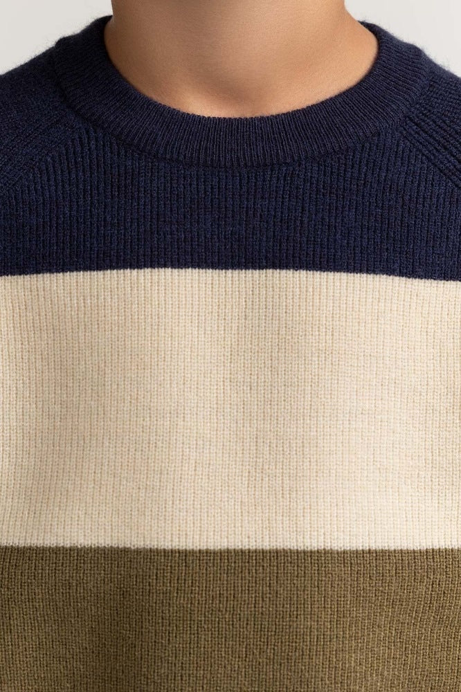 Toddler Boy Multi Basic Sweater TB-SWT-WS23-011