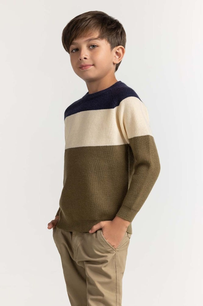 Toddler Boy Multi Basic Sweater TB-SWT-WS23-011