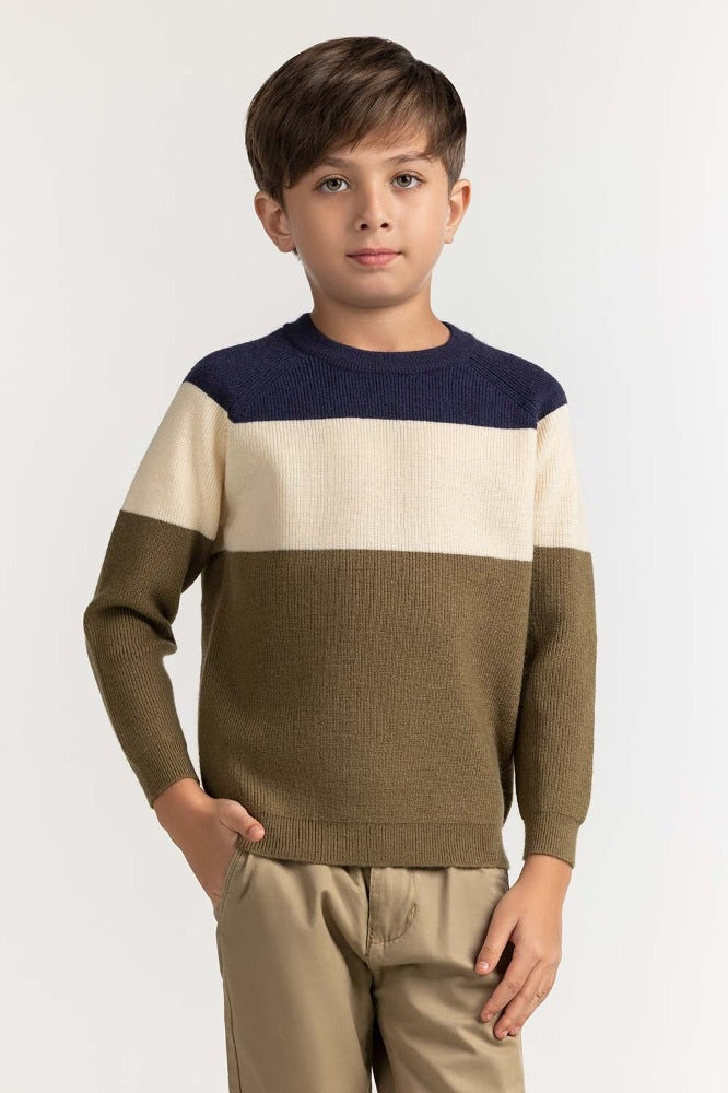 Toddler Boy Multi Basic Sweater TB-SWT-WS23-011