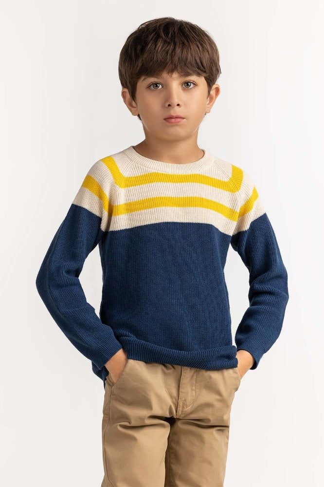 Toddler Boy Multi Basic Sweater TB-SWT-WS23-031