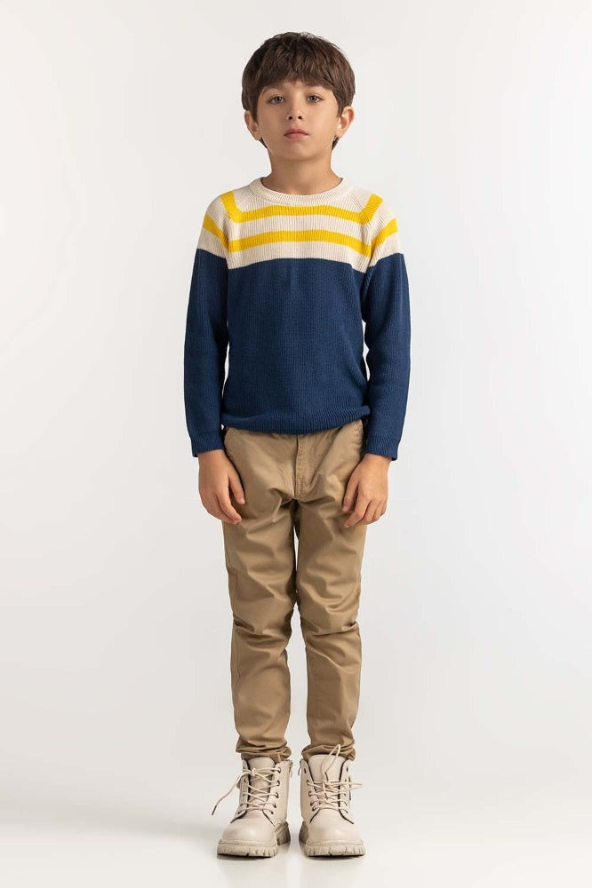 Toddler Boy Multi Basic Sweater TB-SWT-WS23-031
