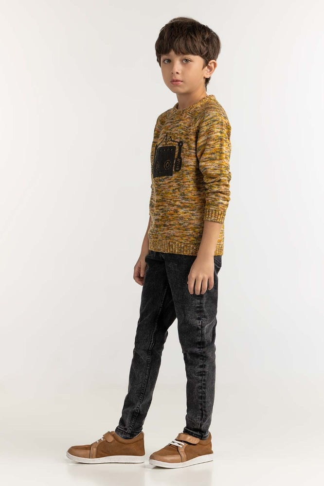 Toddler Boy Multi Basic Sweater TB-SWT-WS23-036