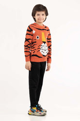 Toddler Boy Rust Sweater 224-511-003