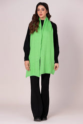 Muffler WG-MF-W22-003