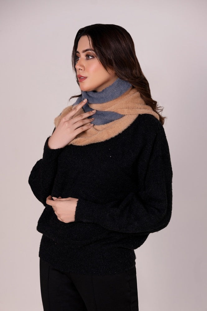 Muffler