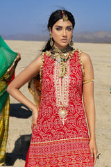 2 Piece Unstitched Embroidered Gold Printed Lawn suit TL-52031